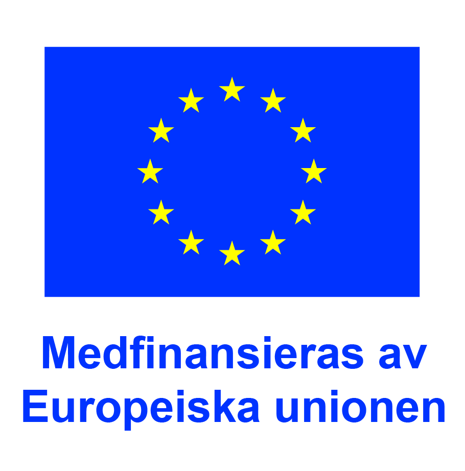 EU-flagga med texten Medfinansieras av Europeiska unionen